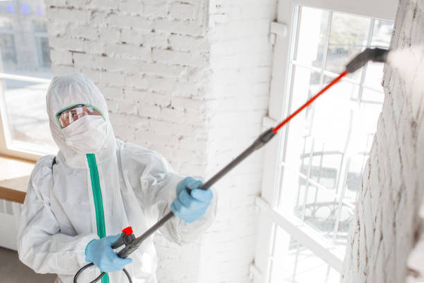 Best Mold Damage Restoration  in Juniper Canyon, OR