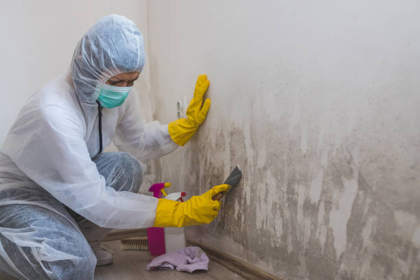 Best Asbestos and Lead Testing During Mold Inspection  in Juniper Canyon, OR