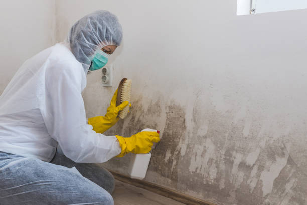 Mold Removal for HVAC Installations in Juniper Canyon, OR