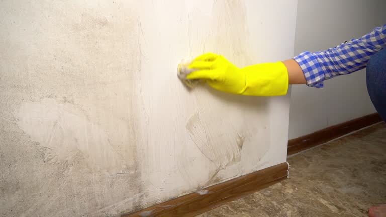 Best Comprehensive Air Testing for Mold Contaminants  in Juniper Canyon, OR