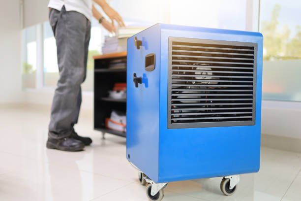 Mold Odor Removal Services in Juniper Canyon, OR