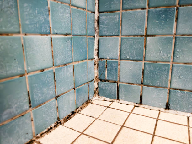  Juniper Canyon, OR Mold Removal Pros