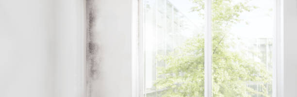 Best Mold Remediation for Healthcare Facilities  in Juniper Canyon, OR