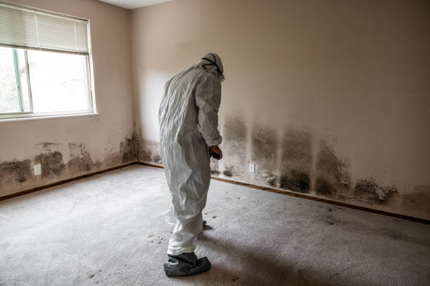 Best Industrial Mold Remediation  in Juniper Canyon, OR